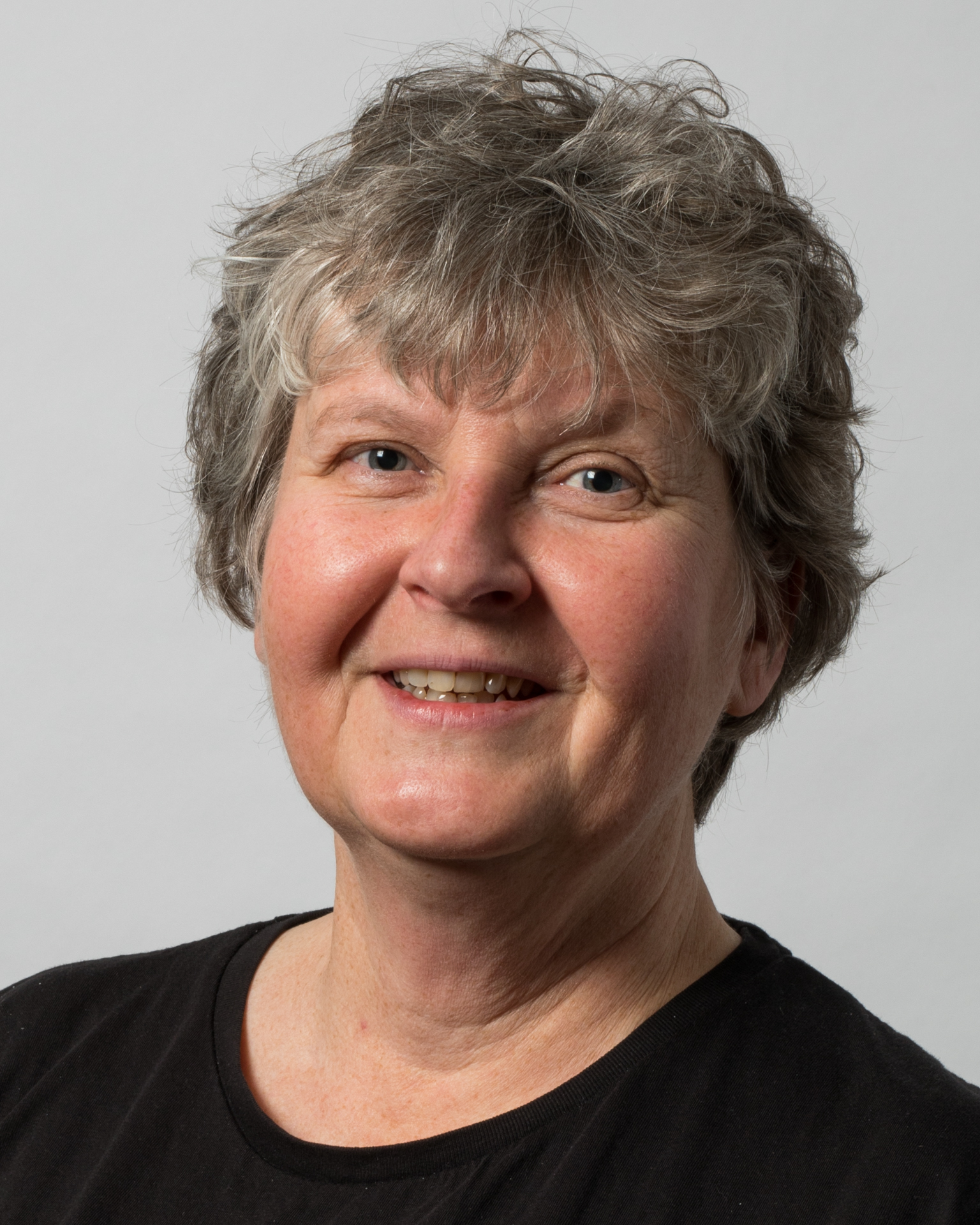 Eva Laggren